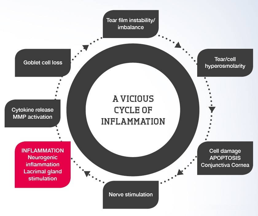 Inflammation vicious cycle